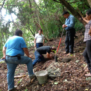 Establecimiento de parcelas agroforestales de Cacao en el Municipio de Cacaopera.